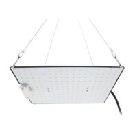LED QUANTUM GENERICI